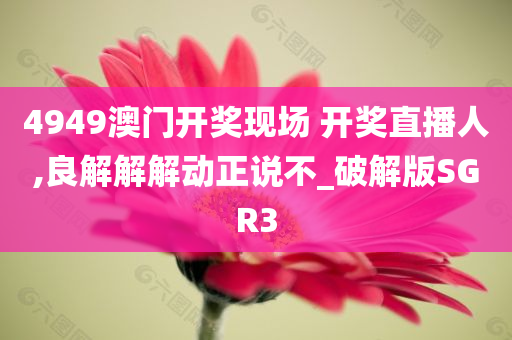 4949澳门开奖现场 开奖直播人