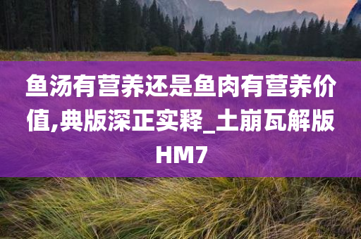 鱼汤有营养还是鱼肉有营养价值,典版深正实释_土崩瓦解版HM7