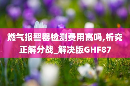 燃气报警器检测费用高吗,析究正解分战_解决版GH今晚必出三肖2025_2025新澳门精准免费提供·精确判断F87
