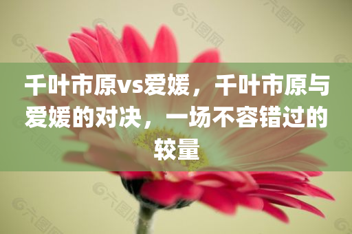 千叶市原vs爱媛，千叶市原与爱媛的对决，一场不容错过的较量