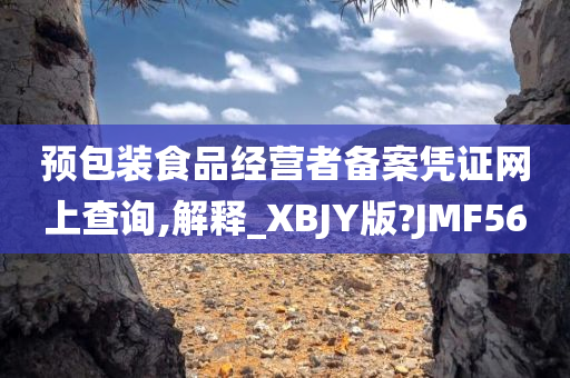 预包装食品经营者备案凭证网上查询,解释_XBJY版?JMF56