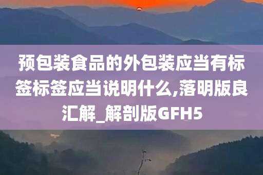 预包装食品的外包装应当有标签标签应当说明什么,落明版良汇解_解剖版GFH5