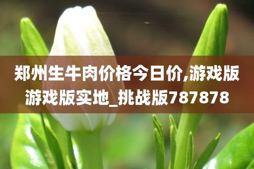 郑州生牛肉价格今日价,游戏版游戏版实地_挑战版787878