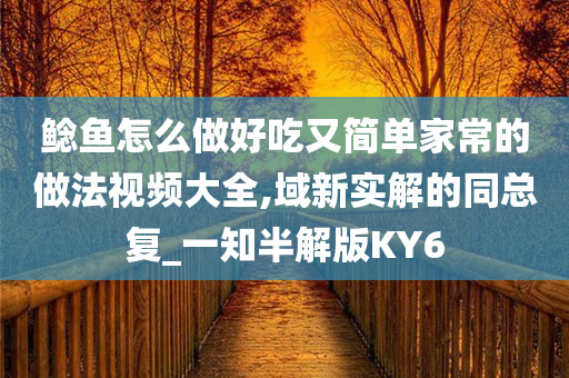 鲶鱼怎么做好吃又简单家常的做法视频大全,域新实解的同总复_一知半解版KY6