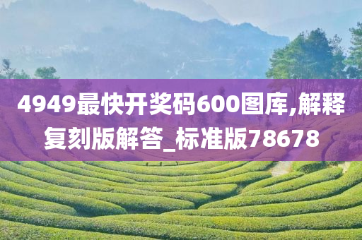 4949最快开奖码600图库,解释复刻版解答_标准版78678