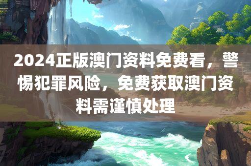 2024正版澳门资料免费看，警惕犯罪风险，免费获取澳门资料需谨慎处理