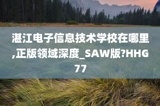 湛江电子信息技术学校在哪里,正版领域深度_SAW版?HHG77