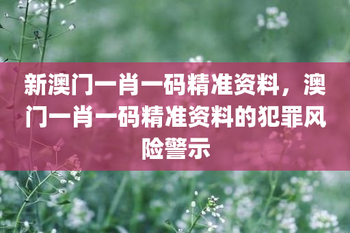 新澳门一肖一码精准资料，澳门一肖一码精准资料的犯罪风险警示