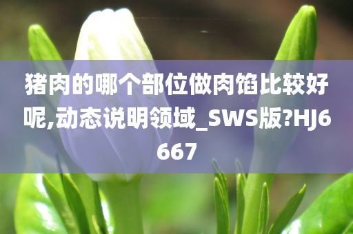 猪肉的哪个部位做肉馅比较好呢,动态说明领域_SWS版?HJ6667