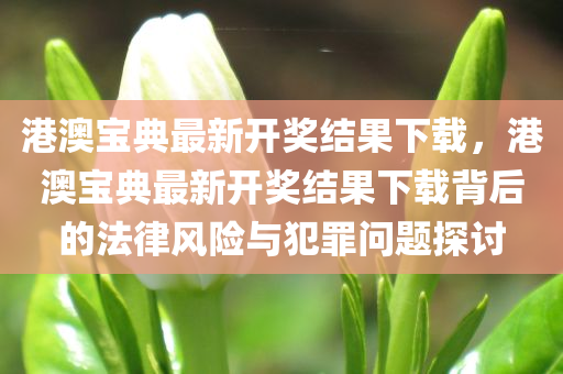 港澳今晚必出三肖2025_2025新澳门精准免费提供·精确判断宝典最新开奖结果下载，港澳宝典最新开奖结果下载背后的法律风险与犯罪问题探讨