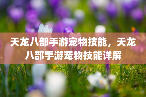 天龙八部手游宠物技能，天龙八部手游宠物技能详解今晚必出三肖2025_2025新澳门精准免费提供·精确判断