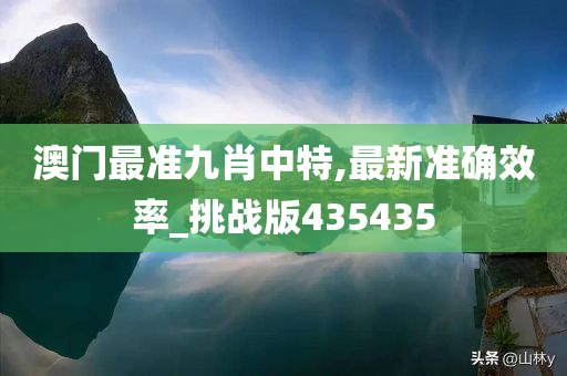 澳门最准九肖中特,最新准确效率_挑战版435435