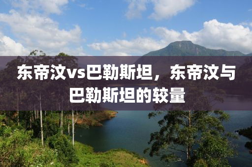 东帝汶vs巴勒斯坦，东帝汶与巴勒斯坦的较量今晚必出三肖2025_2025新澳门精准免费提供·精确判断