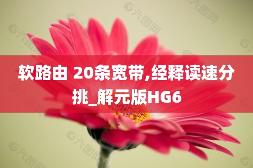 软路由 20条宽带,经释读速分挑_解元版HG6