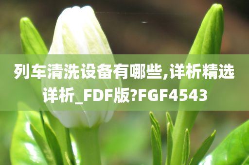 列车清洗设备有哪些,详析精选详析_FDF版?FGF4543