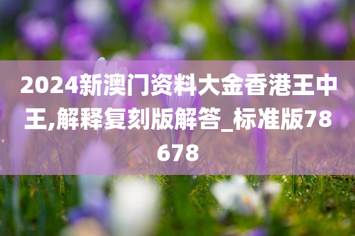王中王 第7页