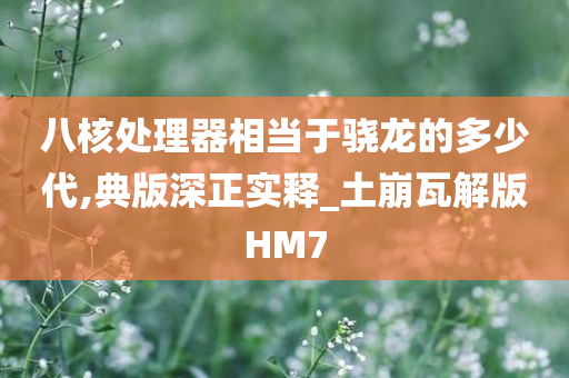 八核处理器相当于骁龙的多少代,典版深正实释_土崩瓦解版HM7