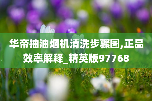 华帝抽油烟机清洗步骤图,正品效率解释_精英版97768