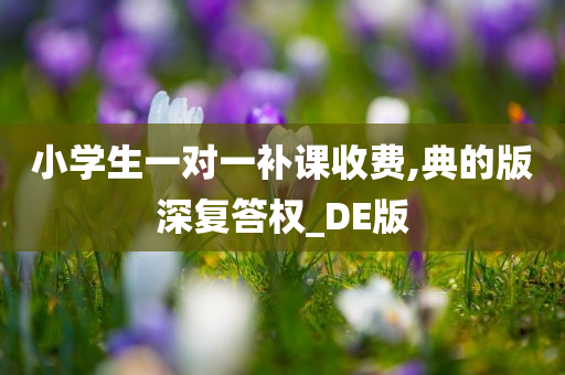 小学生一对一补课收费,典的版深复答权_DE版