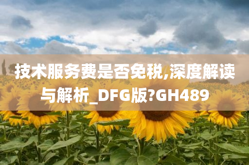 技术服务费是否免税,深度解读与解析_DFG版?GH489