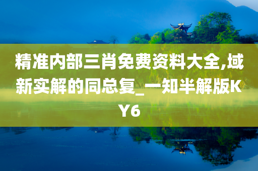 精准内部三肖免费资料大全,域新实解的同总复_一知半解版KY6