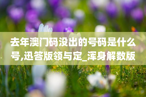 去年澳门码没出的号码是什么号,迅答版领与定_浑身解数版