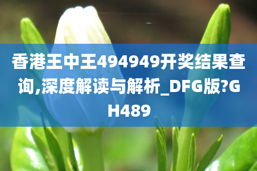 香港王中王494949开奖结果查询,深度解读与解析_DFG版?GH489