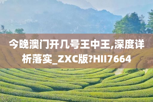 今晚澳门开几号王中王,深度详析落实_ZXC版?HII7664