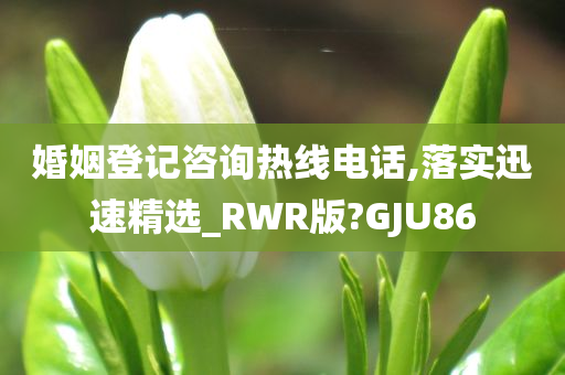 婚姻登记咨询热线电话,落实今晚必出三肖2025_2025新澳门精准免费提供·精确判断迅速精选_RWR版?GJU86