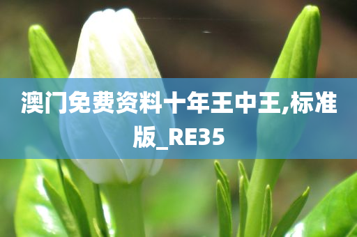 澳门免费资料十年王中王,标准版_RE35