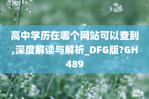 高中学历在哪个网站可以查到,深度解读与解析_DFG版?GH489