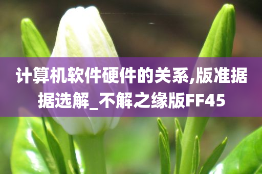 计算机软件硬件的关系,版准据据选解_不解之缘版FF45