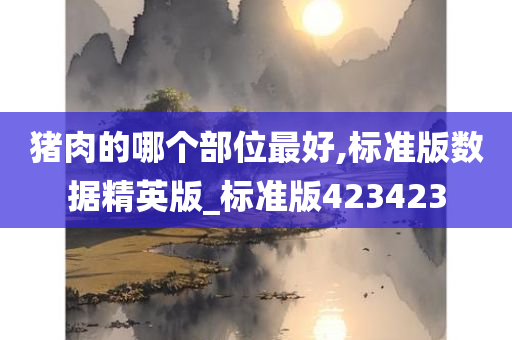 猪肉的哪个部位最好,标准版数据精英版_标准版423423今晚必出三肖2025_2025新澳门精准免费提供·精确判断