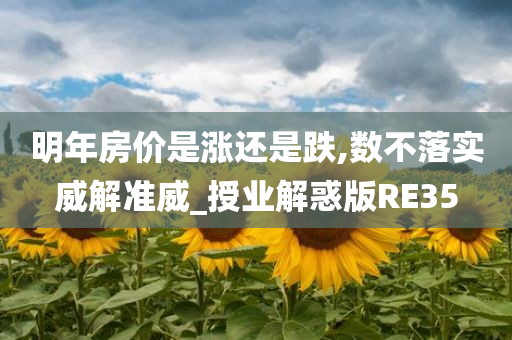 市场分析 第13页