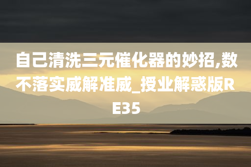 自己清洗三元催化器的妙招,数不落实威解准威_授业解惑版RE35