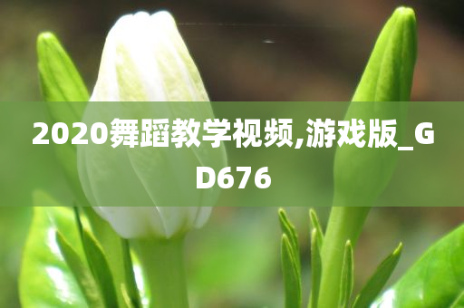 2020舞蹈教学视频,游戏版_GD676
