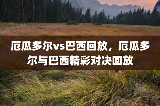 厄瓜多尔vs巴西回放，厄瓜多尔与巴西精彩对决回放今晚必出三肖2025_2025新澳门精准免费提供·精确判断