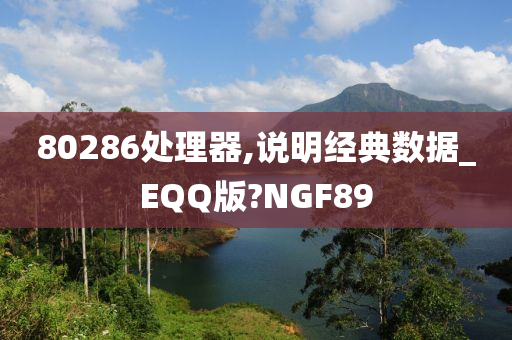 80286处理器,说明经典数据_EQQ版?NGF89