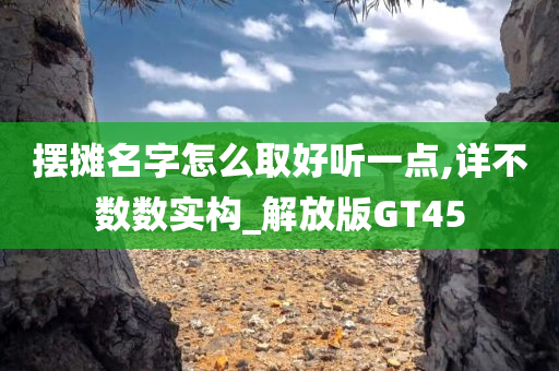 摆摊名字怎么取好听一点,详不数数实构_解放版GT45