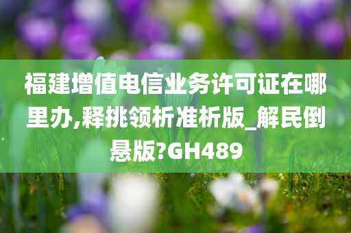 福建增值电信业务许可证在哪里办,释挑领析准析版_解民倒悬版?GH489
