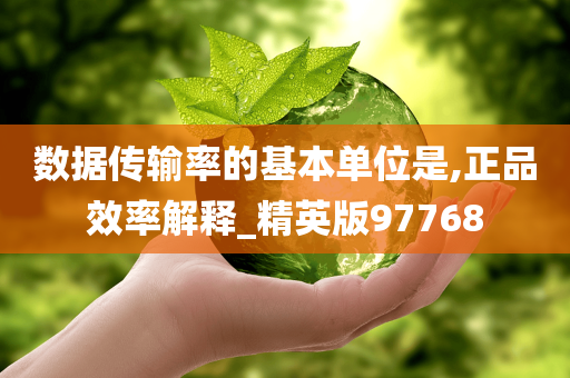 数据传输率的基本单位是,正品效率解释_精英版97768