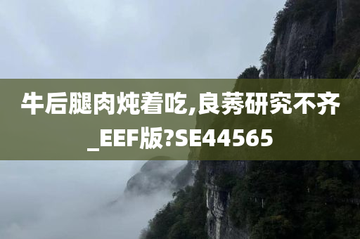 牛后腿肉炖着吃,良莠研究不齐_EEF版?SE44565