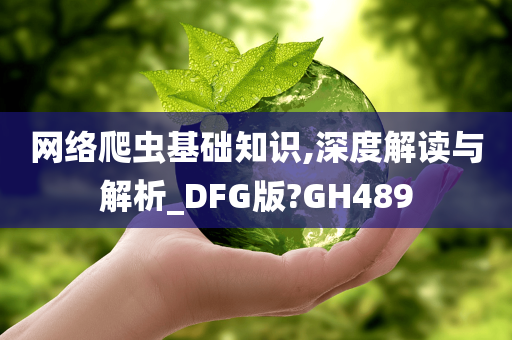 网络爬虫基础知识,深度解读与解析_DFG版?GH489