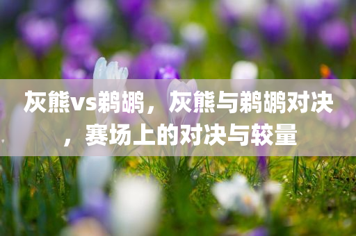 灰熊vs鹈鹕，灰熊与鹈鹕对决，赛场上的对决与较量今晚必出三肖2025_2025新澳门精准免费提供·精确判断