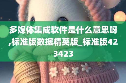 多媒体集成软件是什么意思呀,标准版数据精英版_标准版423423