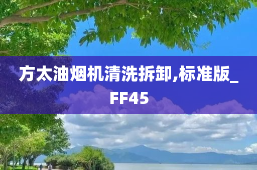 方太油烟机清洗拆卸,标准版_FF45