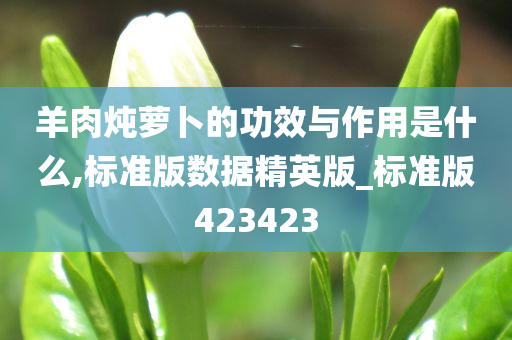 羊肉炖萝卜的功效与作用是什么,标准版数据精英版_标准版423423