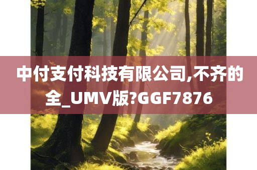 中付支付科技有限公司,不齐的全_UMV版?GGF7876