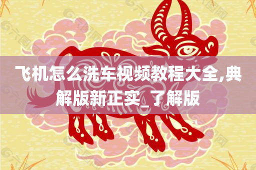 飞机怎么洗车视频教程大全,典解版新正实_了解版