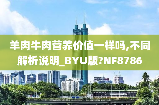 羊肉牛肉营养价值一样吗,不同解析说明_BYU版?NF8786